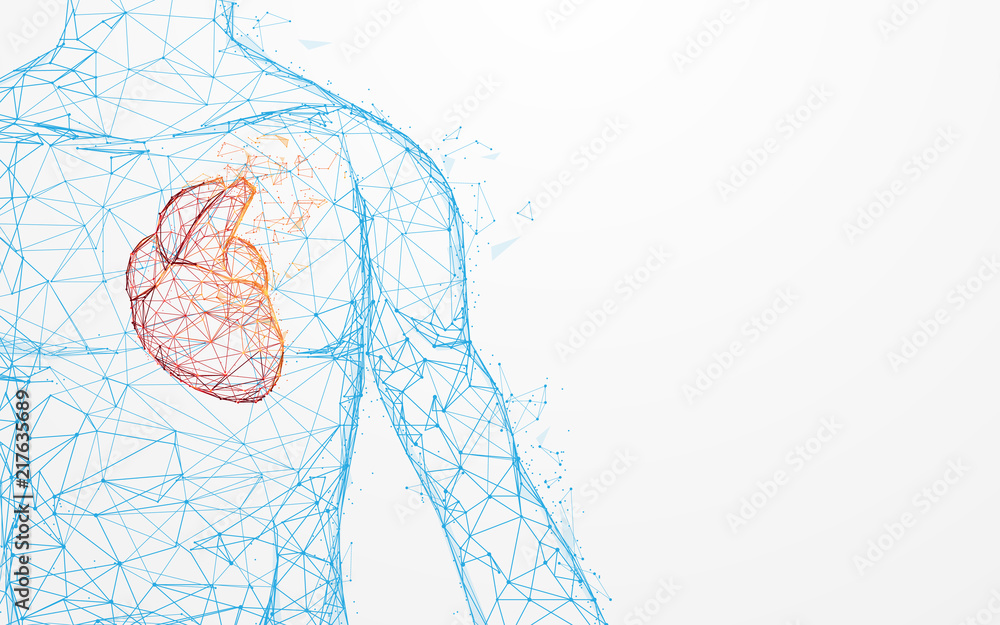 Human heart anatomy form lines and triangles, point connecting network on blue background. Illustration vector - obrazy, fototapety, plakaty 