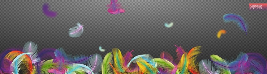 Wall Mural - multicolored falling twirled realistic feathers isolated on a transparent background. light cute fea