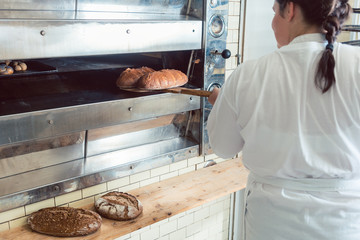 Wall Mural - Woman baker getting fresh bread with shovel out of oven