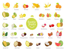 Delicious Exotic Fruits Full Of Vitamins Big Set