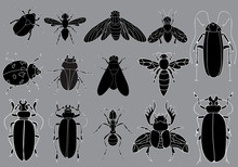 Set Of Black Silhouettes, Insect Icons