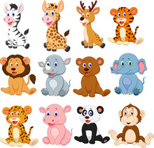 Wild Animals Cartoon Collection Set