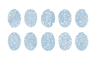 set of fingerprints of various types isolated on white background. traces of friction ridges of huma
