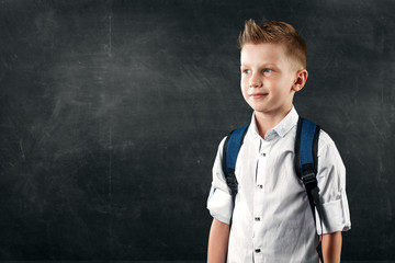 Portrait of a boy from an elementary school on a background of a school board. The concept back to school, knowledge day, the first of September, the beginning of school activities.