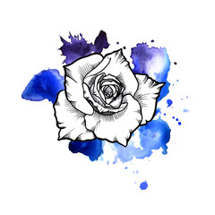 Wall Mural - A bright blue formless watercolor blot.  Rose ink flower line graphic