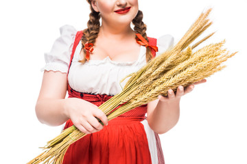 Wall Mural - cropped image of oktoberfest waitress in traditional bavarian dress holding wheat ears isolated on white background