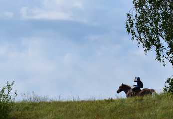 Horse with a rider among the landscape