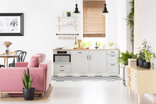 Real Photo Of Open Space Kitchen Interior With Checkerboard Floor, Window With Wooden Blinds, Pink Velvet Couch And Many Fresh Plants