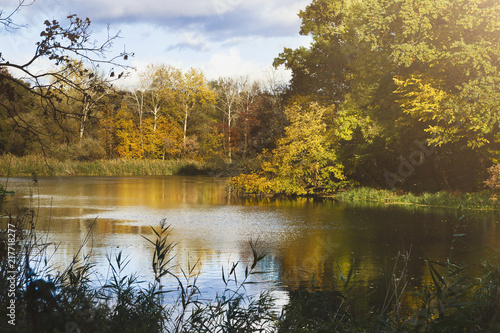 Forest lake in autumn. Calm nature background