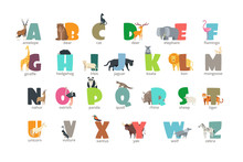 Cartoon Wild Animals Kids Alphabet For Children Studying English. Education Vector Background