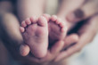 Leinwandbild Motiv Feet of a newborn baby in the hands of parents. Happy Family oncept. Mum and Dad hug their baby's legs.