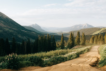 Dirt Road With Trees And Mountains