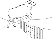 White Background, Black Lines, The Sheep Jumps Over The Fence. Training Animals On The Farm. Vector