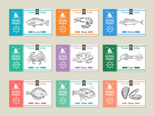 Seafood Labels. Design Template With Hand Drawn Illustrations Of Fish And Other Seafood