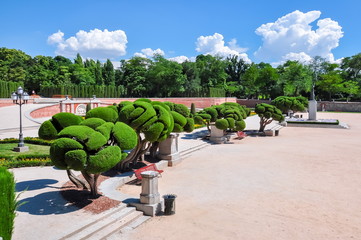 Retiro park landscape, Madrid, Spain