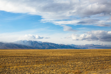 Poster - Landscape of the steppe and mountains in Western Mongolia.