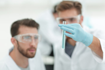 Wall Mural - two scientists examining liquid in a test tube