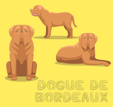 Dog Dogue De Bordeaux Cartoon Vector Illustration