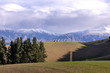 Rolling hills and farm land with snow capped mountains in the background