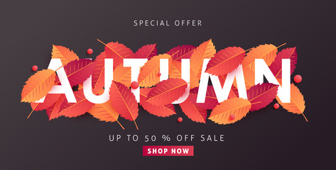 Wall Mural - autumn sale background layout decorate with leaves for shopping sale or promo poster and frame leafl