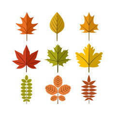 Wall Mural - Simple Autumn Leaf Illustration Symbol Graphic Design Template Set