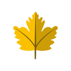 Wall Mural - Simple Yellow Autumn Leaf Illustration Symbol Graphic Design