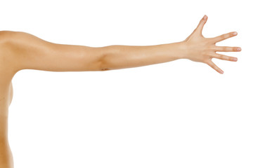 whole female arm on white background