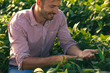 © Zoran Zeremski - Young farmer in filed examining soybean corp.