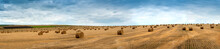 View Of Hay Bales On The Field After Harvest
