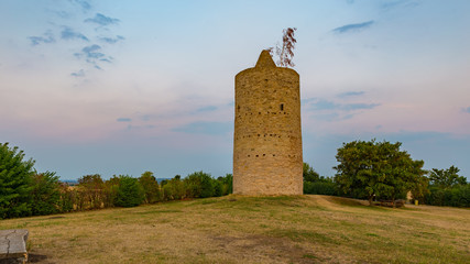 Wall Mural - medival guard tower