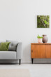 © Photographee.eu - Real photo of bright room interior with framed moss, retro cupboard with plant and vase and grey couch with green pillow