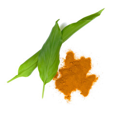 Wall Mural - Turmeric powder isolated on white background.top view