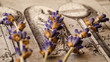 © pekarka - Dry lavender on the sheet of the old book