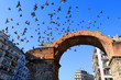 Birds flying over the Arch of Galerius, Thessaloniki Greece