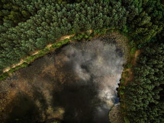 Sticker - Top down aerial drone view over forest and lake