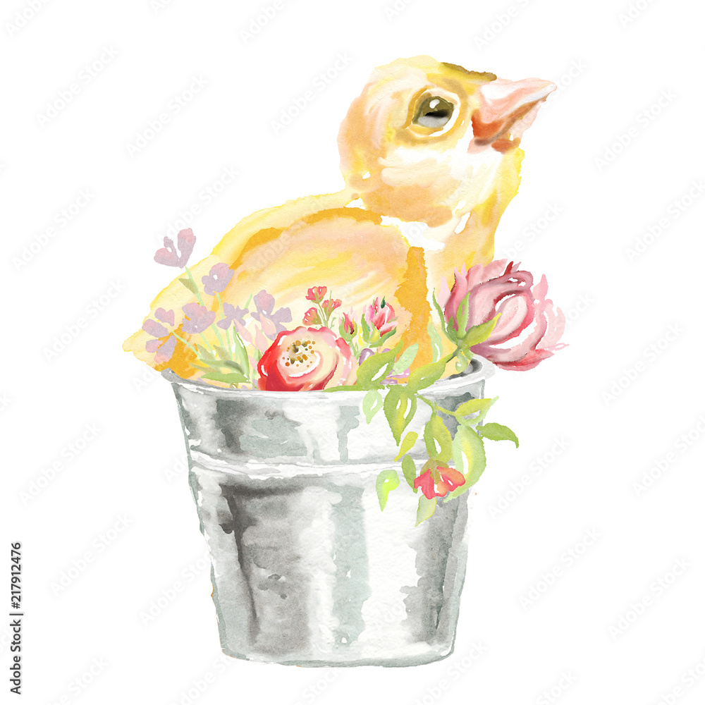 Cute watercolor baby chicken in the bucket with flowers Stock ...