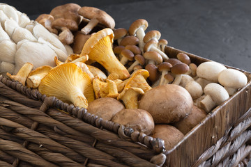 Variety of uncooked wild forest mushrooms in a wicker basket on a black background, flat lay. Mushrooms chanterelles, honey agarics, oyster mushrooms, champignons, portobello, shiitake