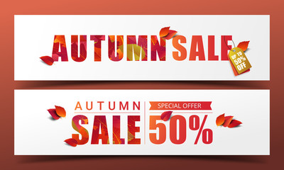 Wall Mural - Autumn sale banner layout template modern design decorate with maple and realistic leaves for discount poster, shopping sale, leaflet, promo flyer, and web banner. Vector illustration.