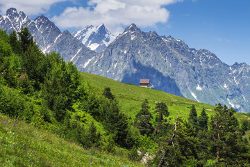 Wall Mural - Alpine landscape of green meadow and rocky mountains in a clear sunny summer day. Amazing rural mountain scene hills in Alps with lonely house on hillside. Springtime in beautiful nature.