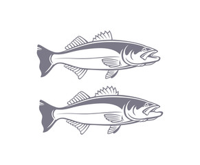 Wall Mural - striped bass