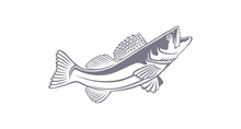 Zander Fish