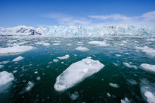 Yakutat Bay, Hubbard Glacier In Background.