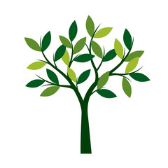 Wall Mural - Green Spring Tree. Vector Illustration.