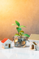 Wall Mural - Property or real estate investment. Home mortgage loan rate. Saving money for future concept. Reflection of green plant growing out of coins in glass jar and house model on the table