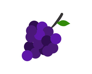 Wall Mural - wine grapes image vector icon logo symbol