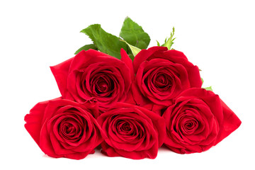 Wall Mural - beautiful red rose isolated on white background