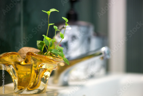 Fotografía Modern tiled bathroom basin faucet with fresh plants designed for eco style homes