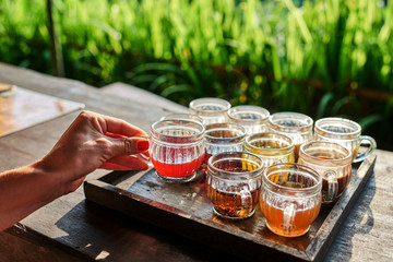 Coffee with multiple assorted types and flavors of coffee and tea in identical mugs for degustation on farm. Bali coffee, luwak coffee, fruit and herb tea testing set. Bali, Indonesia..