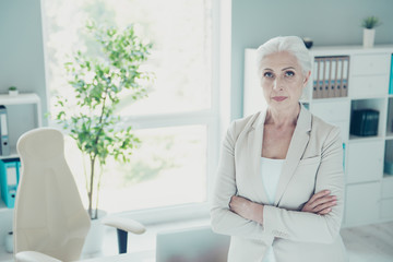 Sticker - Gray-haired beautiful stylish old confident experienced business