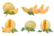 collection of 5 cantaloupe melon images with leaves isolated on a white background